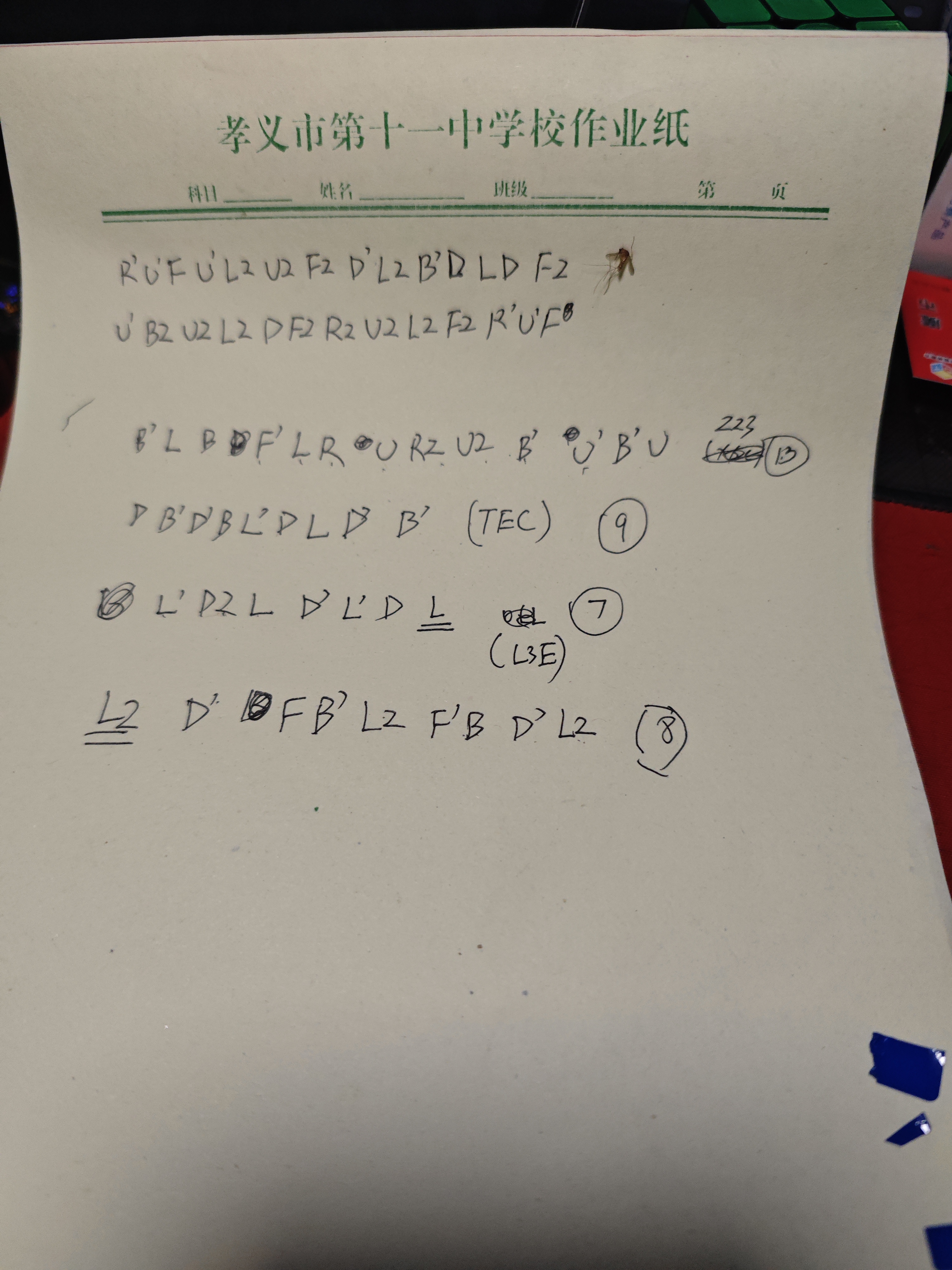 1753198115889.jpg