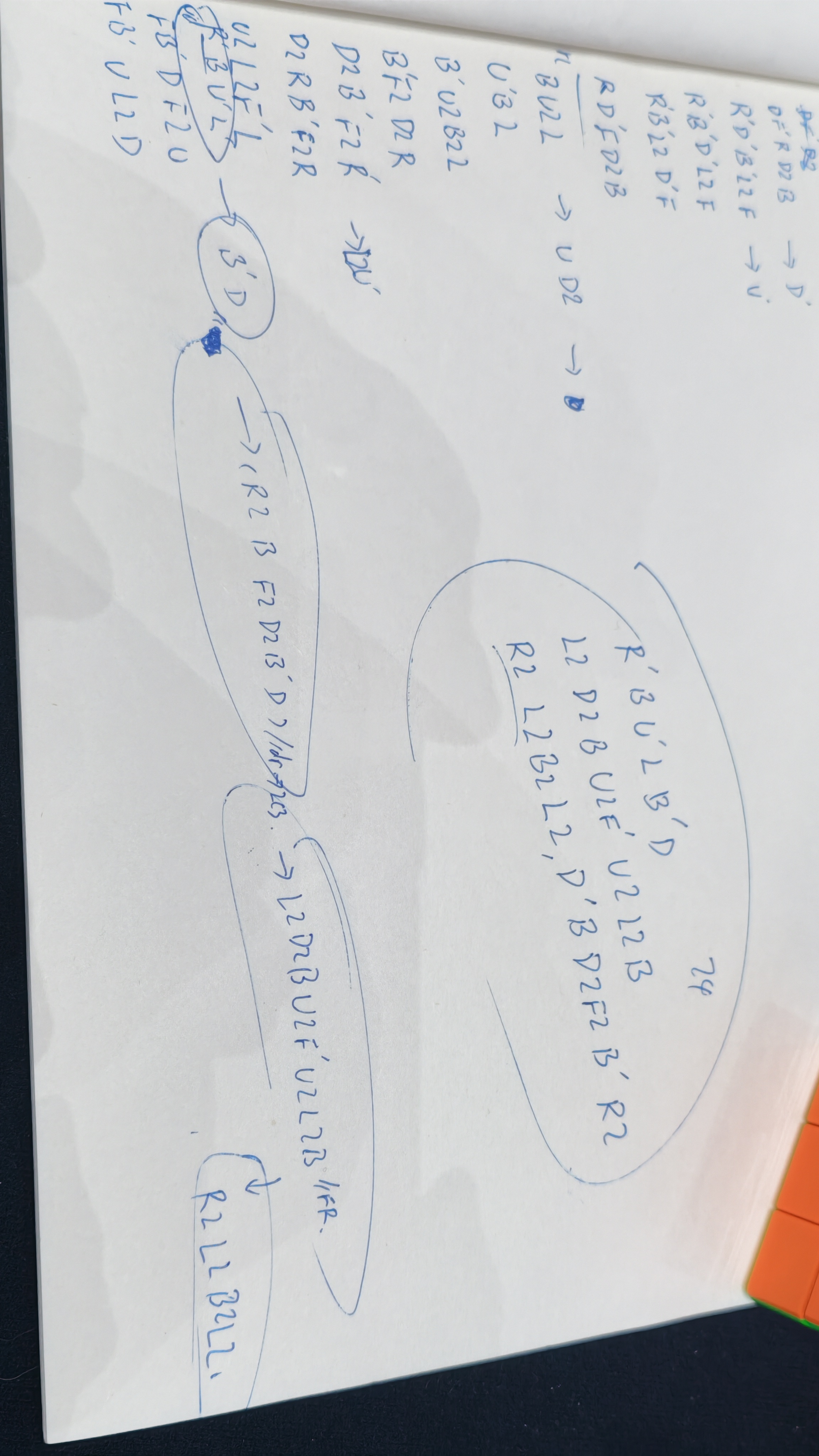 1000061645.jpg