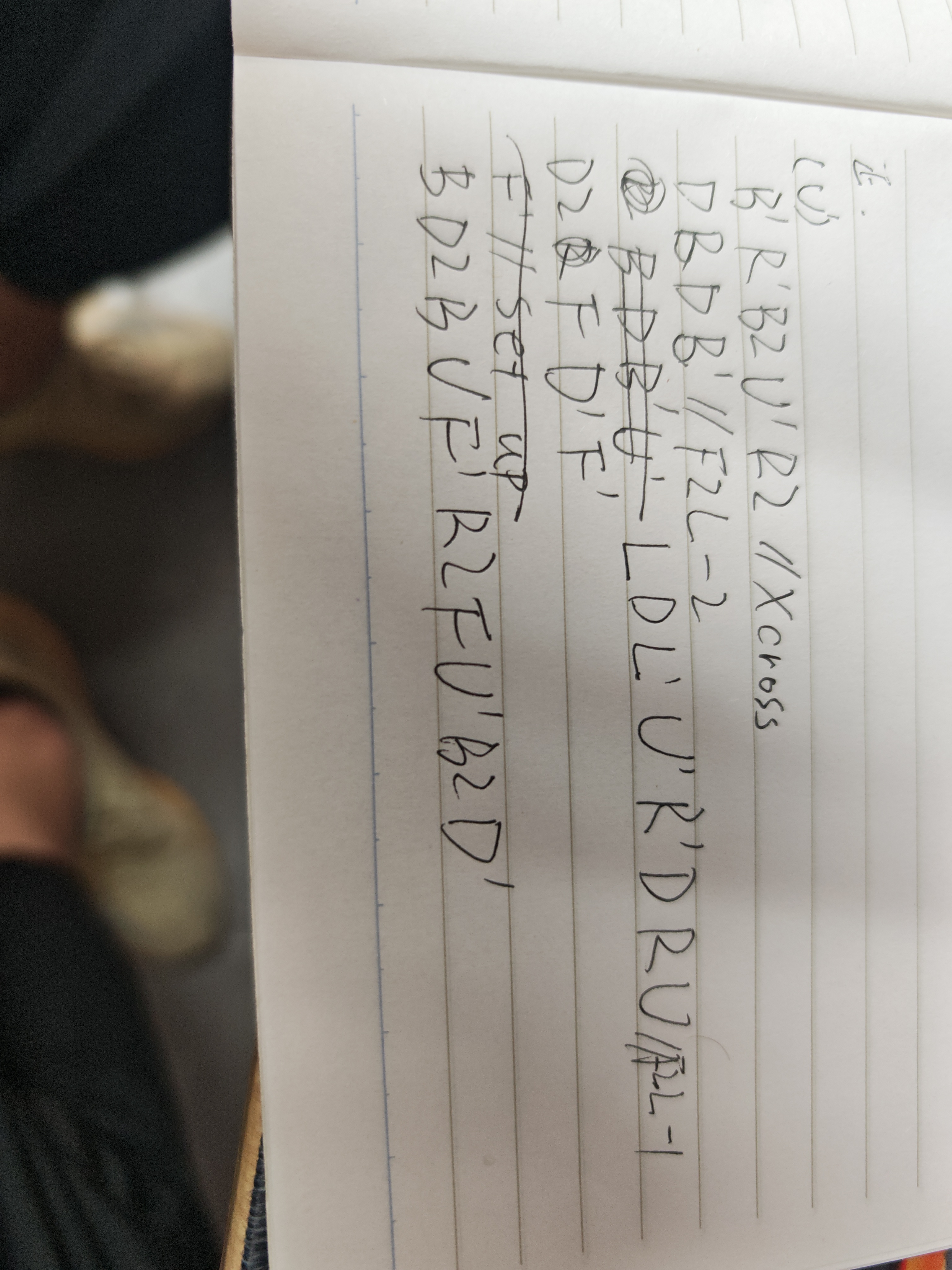 1754989306297.jpg