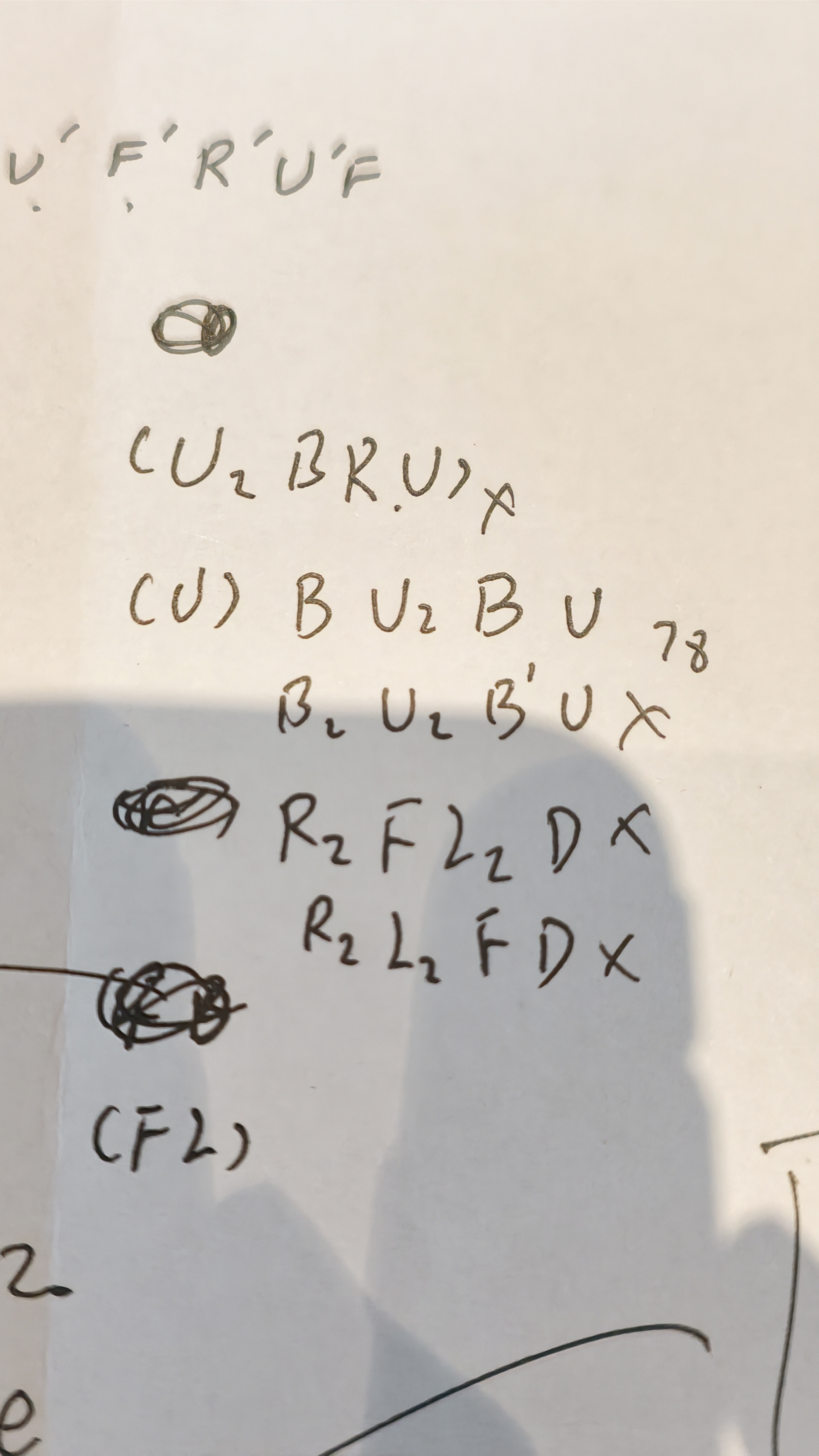 1000066702.jpg
